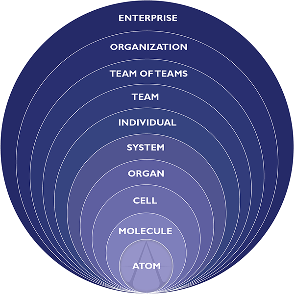 Holon visualization — radial structure